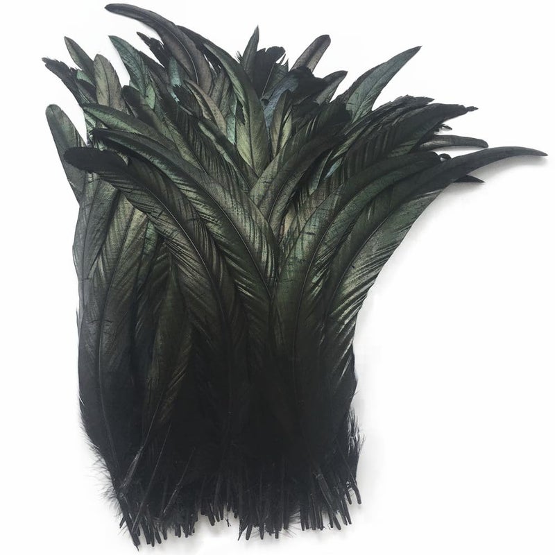 Sowder Black Rooster Coque Tail Feathers 12-14inch Lengh Pack of 50 - Image 1